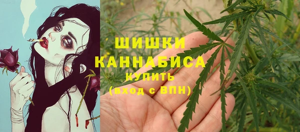 МДПВ Медвежьегорск