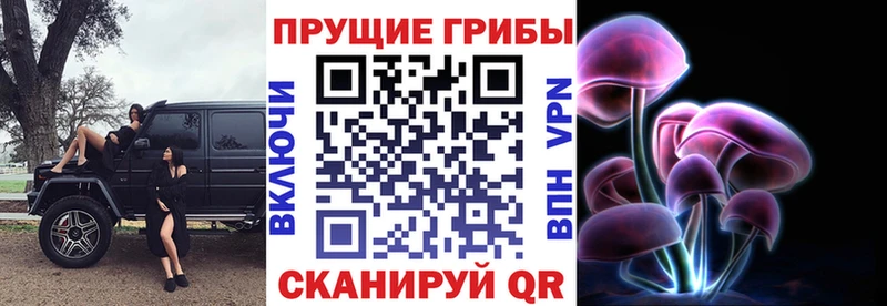 Купить  Красный Кут  Галлюциногенные грибы ЛСД 